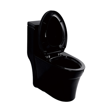 噴射虹吸雙按連體坐便器LD77249A2(內(nèi)黑)